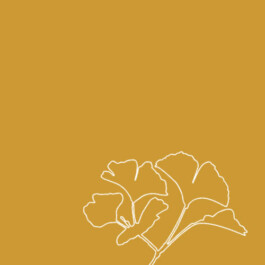 Die Gesundheitspraxis Kathrin Engel Beratung Thumbnail