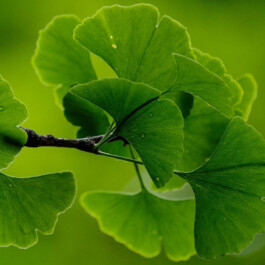 Die Gesundheitspraxis Kathrin Engel 