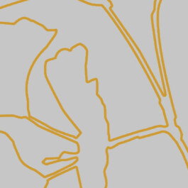 Die Gesundheitspraxis Kathrin Engel Infothek Thumbnail