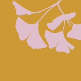 Die Gesundheitspraxis Kathrin Engel Kalendar Thumbnail