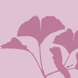 Die Gesundheitspraxis Kathrin Engel Kontakt Thumbnail