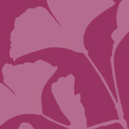 Die Gesundheitspraxis Kathrin Engel Über mich Thumbnail