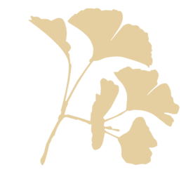 Die Gesundheitspraxis Kathrin Engel 