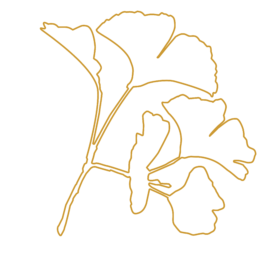 Die Gesundheitspraxis Kathrin Engel