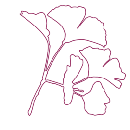 Die Gesundheitspraxis Kathrin Engel