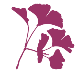 Die Gesundheitspraxis Kathrin Engel 