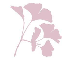 Die Gesundheitspraxis Kathrin Engel