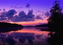 Die Gesundheitspraxis Kathrin Engel 